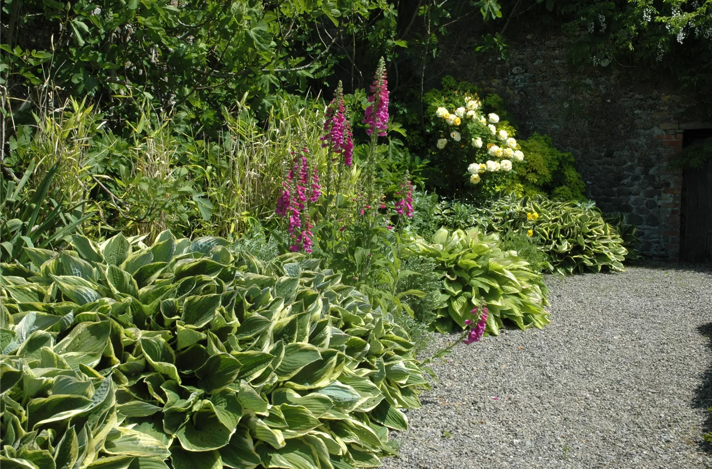 Ein Staudengarten sorgt für Sommerstimmung