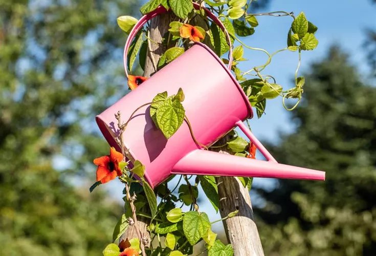 Drucksprüher kaufen und Garten oder Balkon gestalten